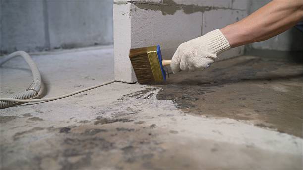 Top rated local Wet Basement Repair specialists in Kintnersville, PA